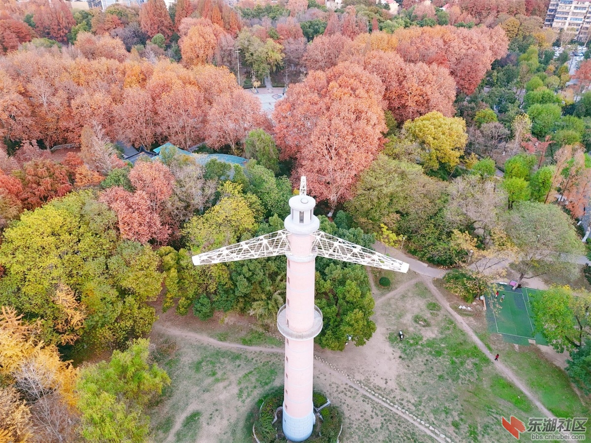 DJI_20241214172303_0080_D.JPG