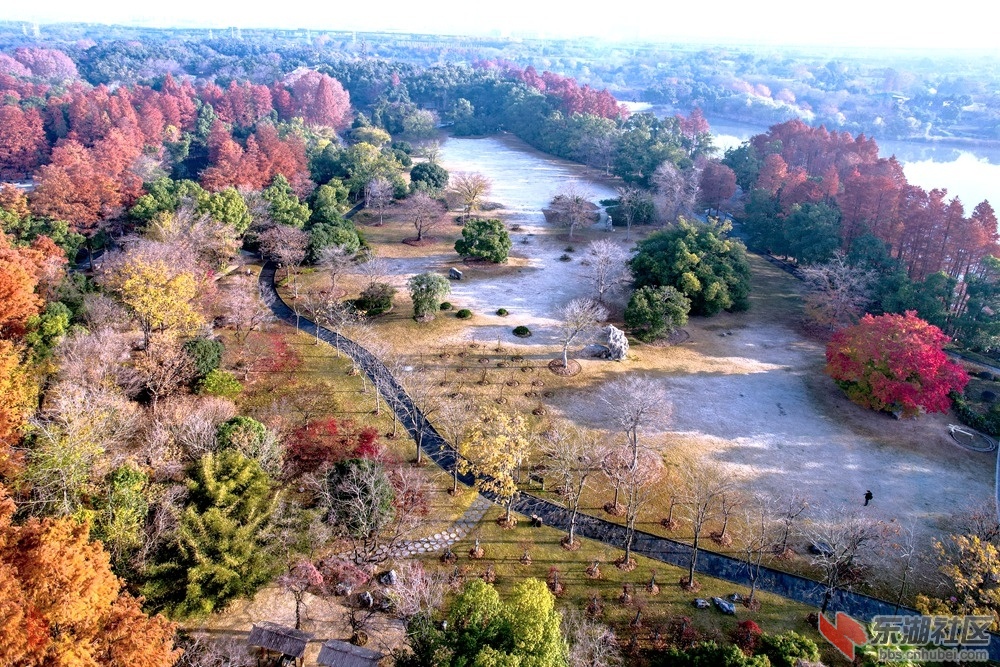东湖沙坪落雁冬 ；浅雾凝成水，零寒结白霜。向阳先落叶，露去草坪黄。四季香樟绿，杉.jpg