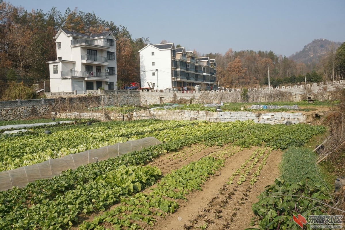 DSC06059.JPG