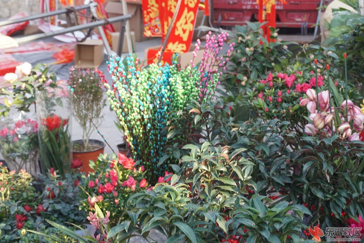 DSC03273.JPG