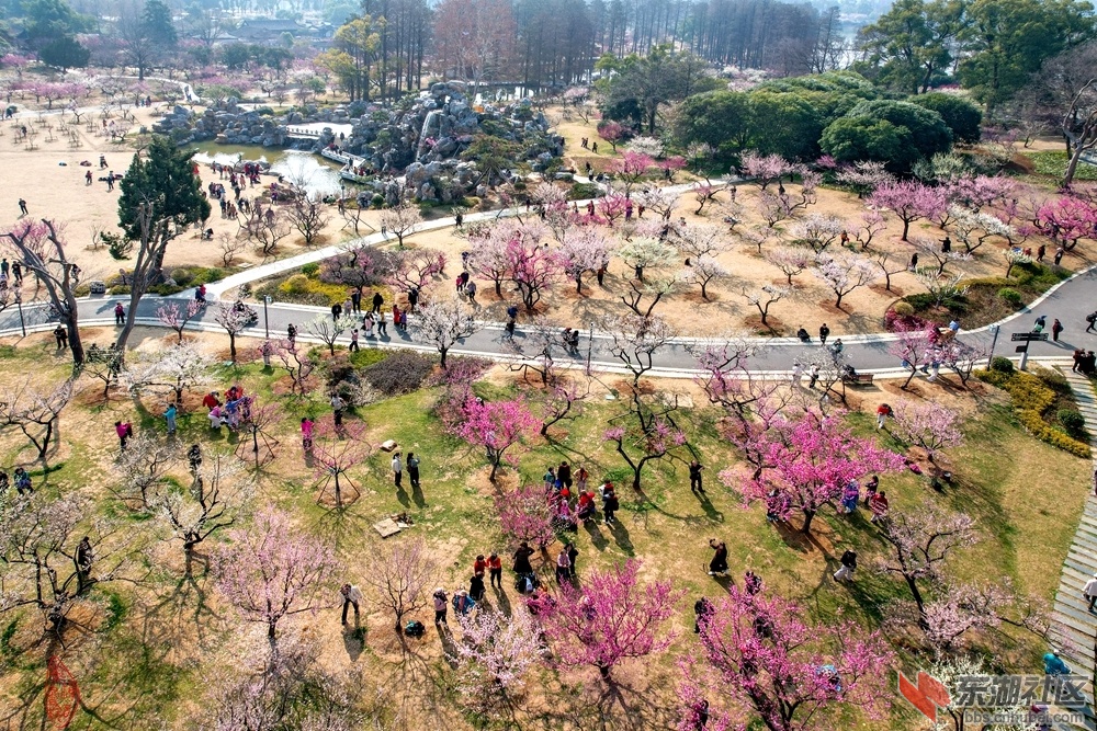 东湖梅园：叠山飞瀑接佳宾，红白梅林满眼春。不觉登高亭上望，一园尽是摄花人。柯树勋.jpg