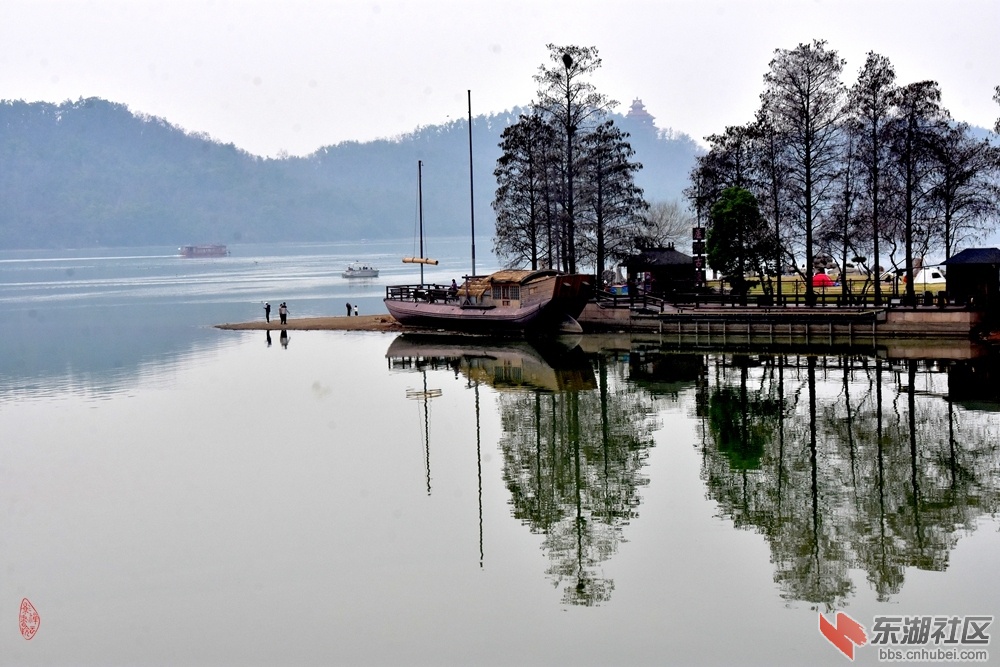 37.东湖芦洲古渡：磨山山色映湖光，磨山山色映湖光，洲上杉林古渡旁。载客游轮身渐远.jpg