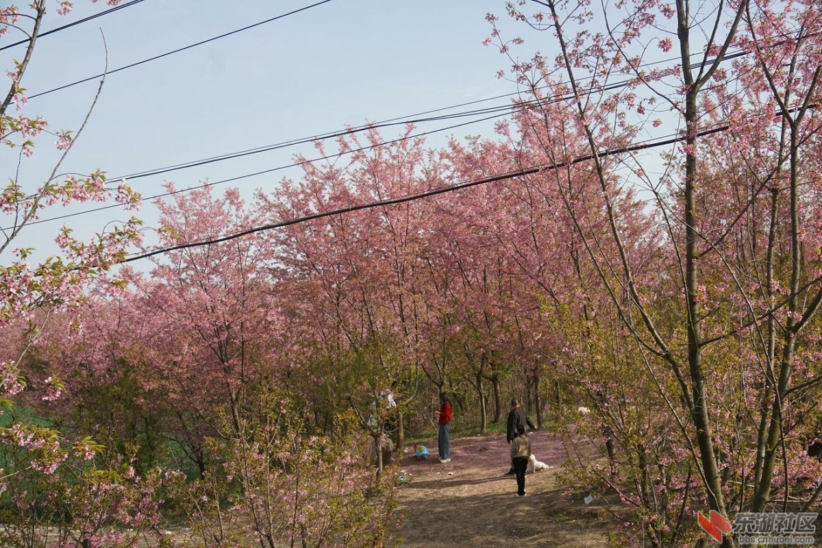 DSC03536.JPG