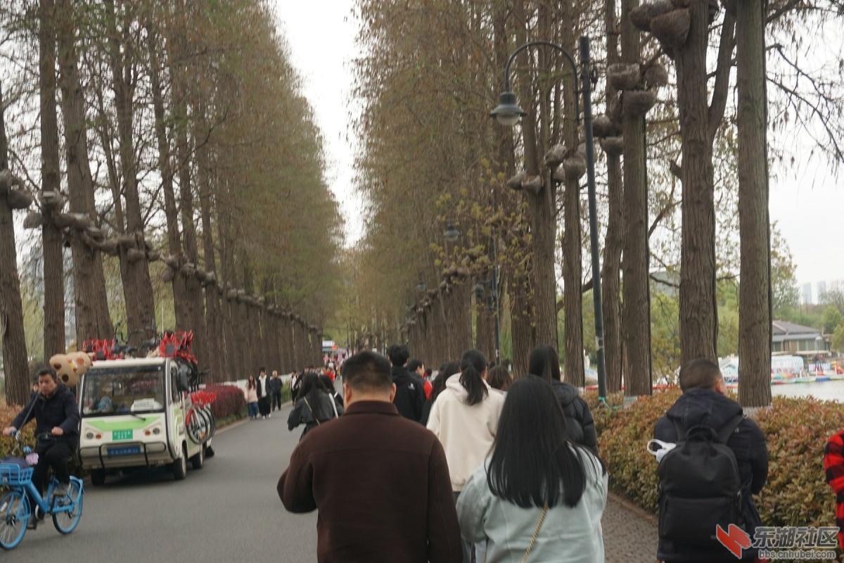 DSC05816.JPG
