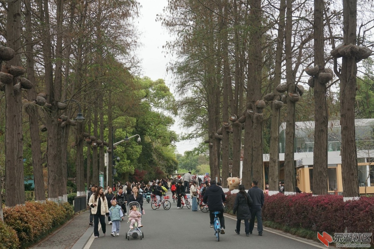 DSC05820.JPG