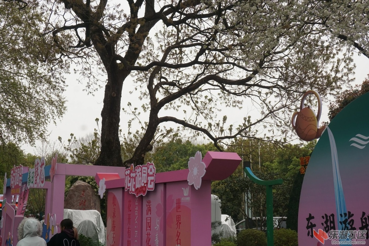 DSC05876.JPG