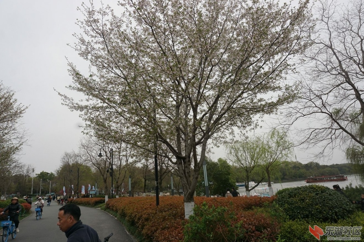 DSC06156.JPG