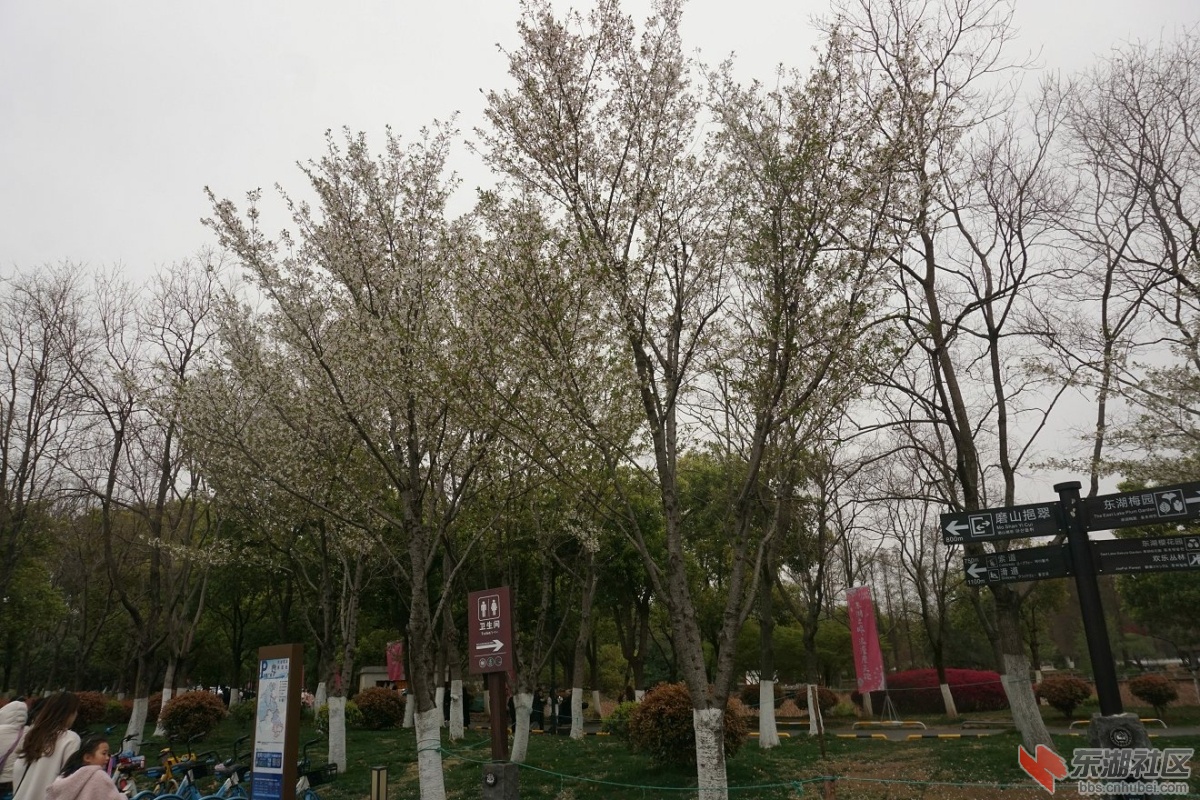 DSC06167.JPG