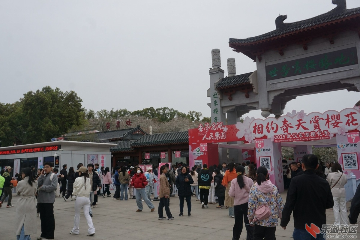 DSC06487.JPG