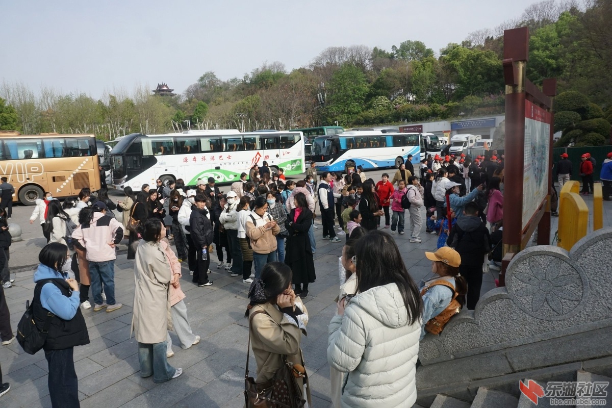 DSC06601.JPG