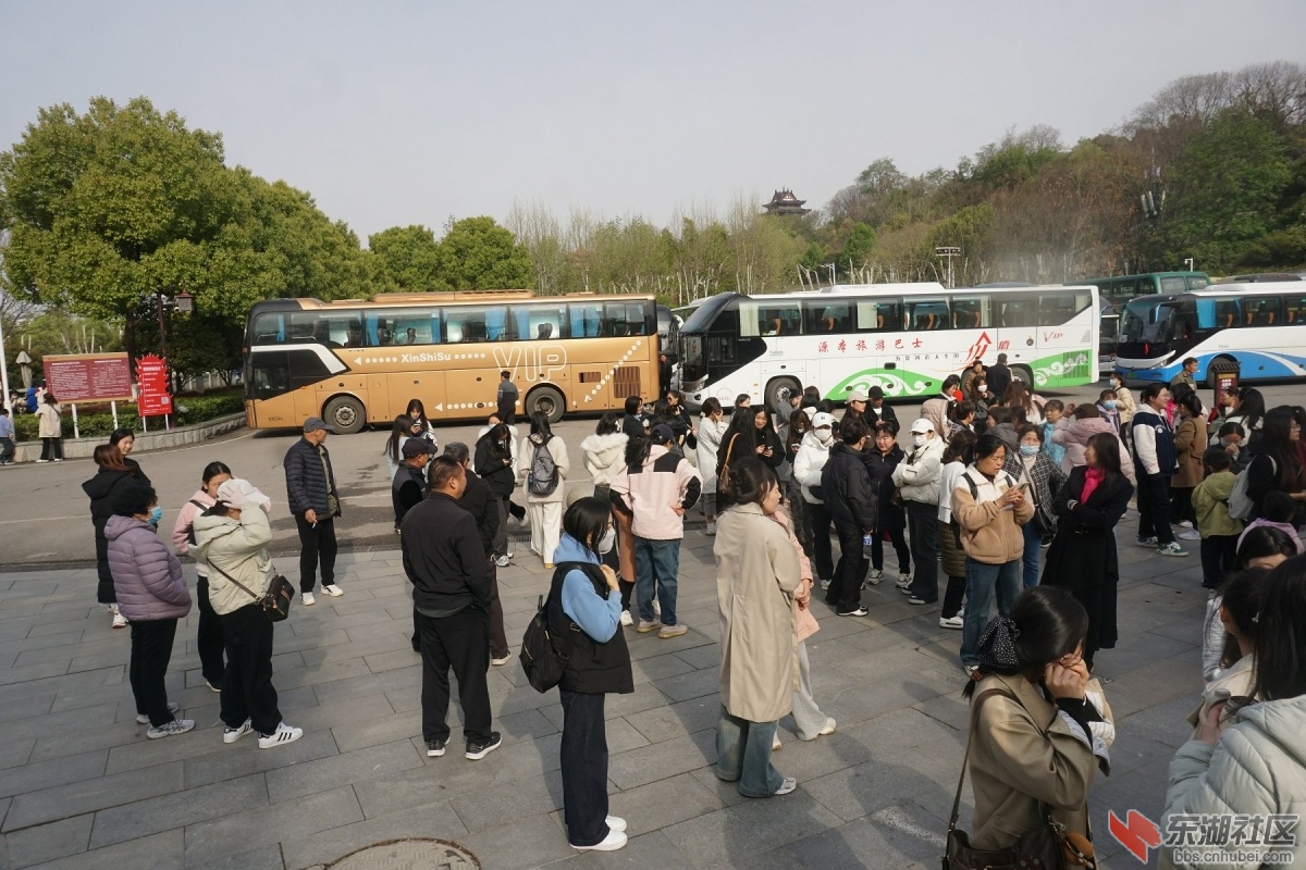 DSC06605.JPG