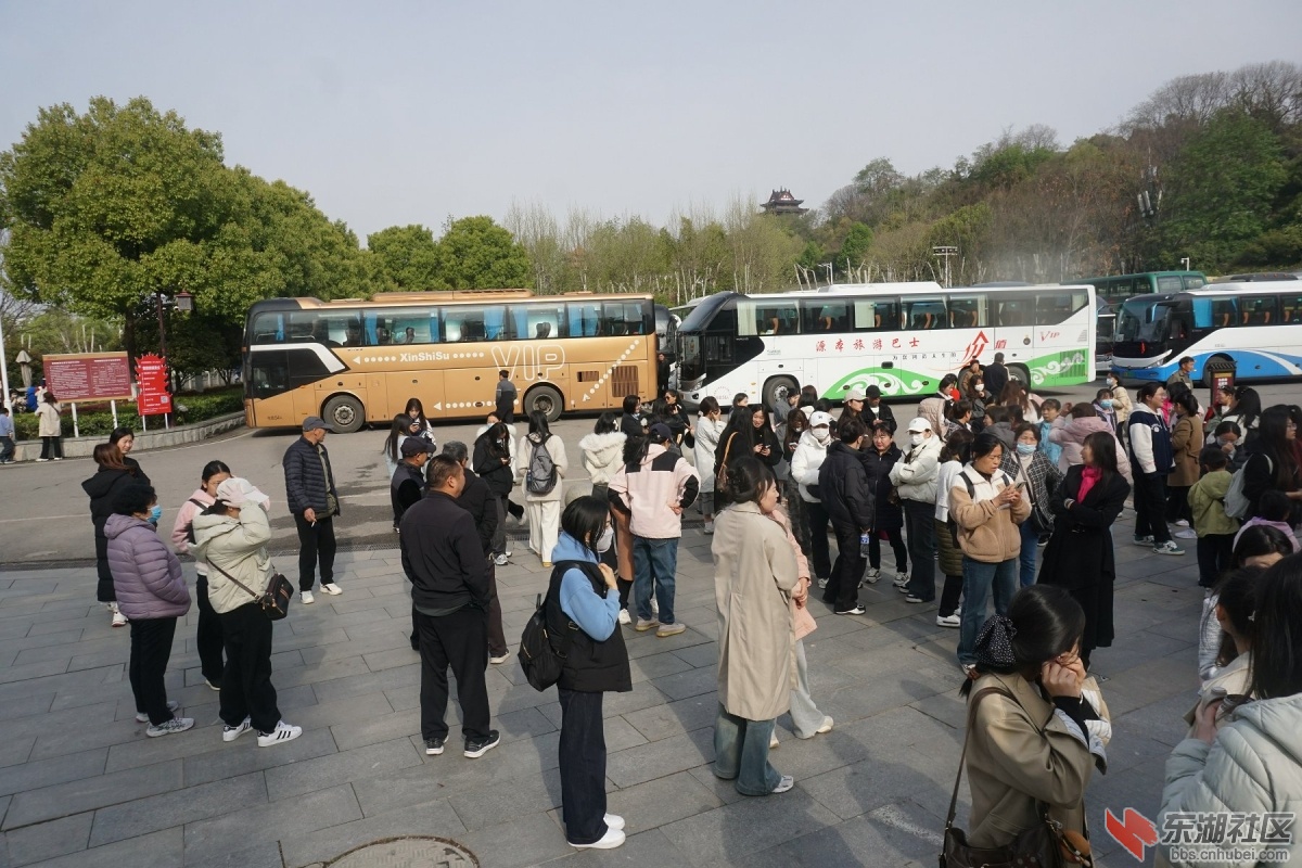 DSC06603.JPG