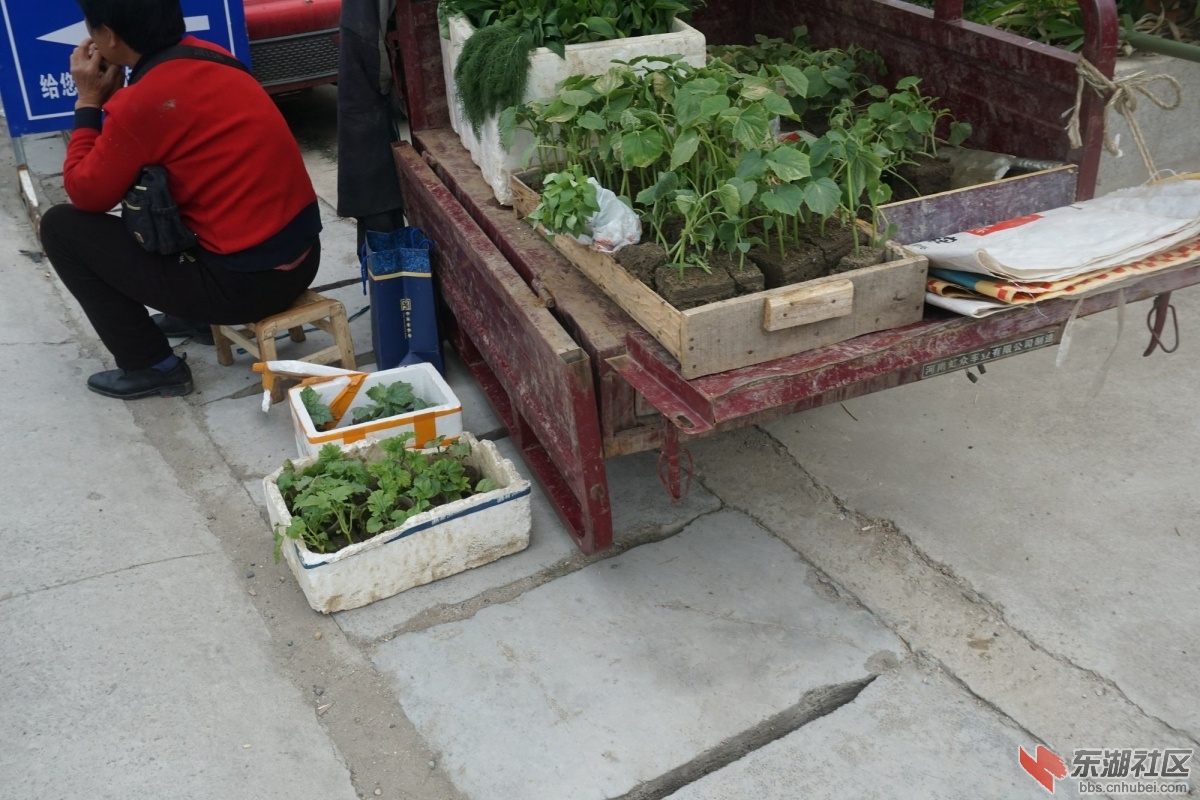 DSC08485.JPG