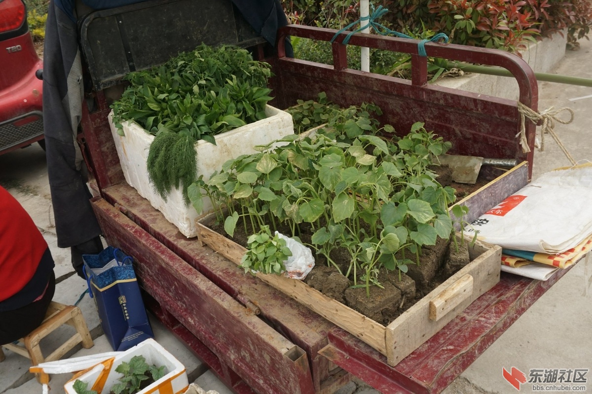 DSC08489.JPG