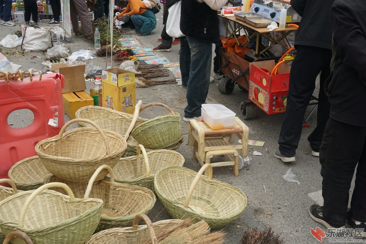 DSC00084.JPG