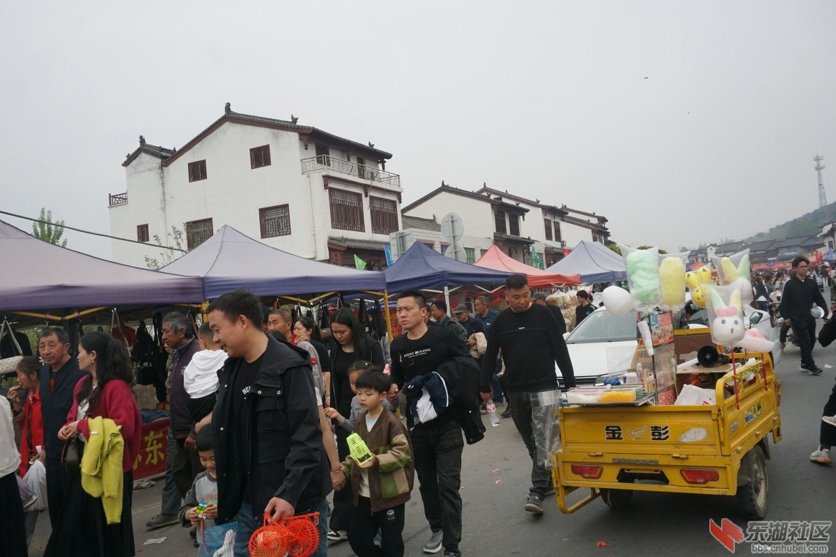 DSC08919.JPG