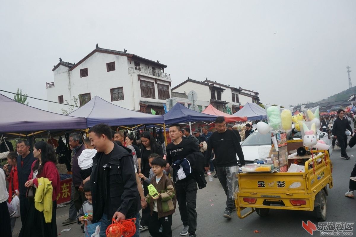 DSC08920.JPG