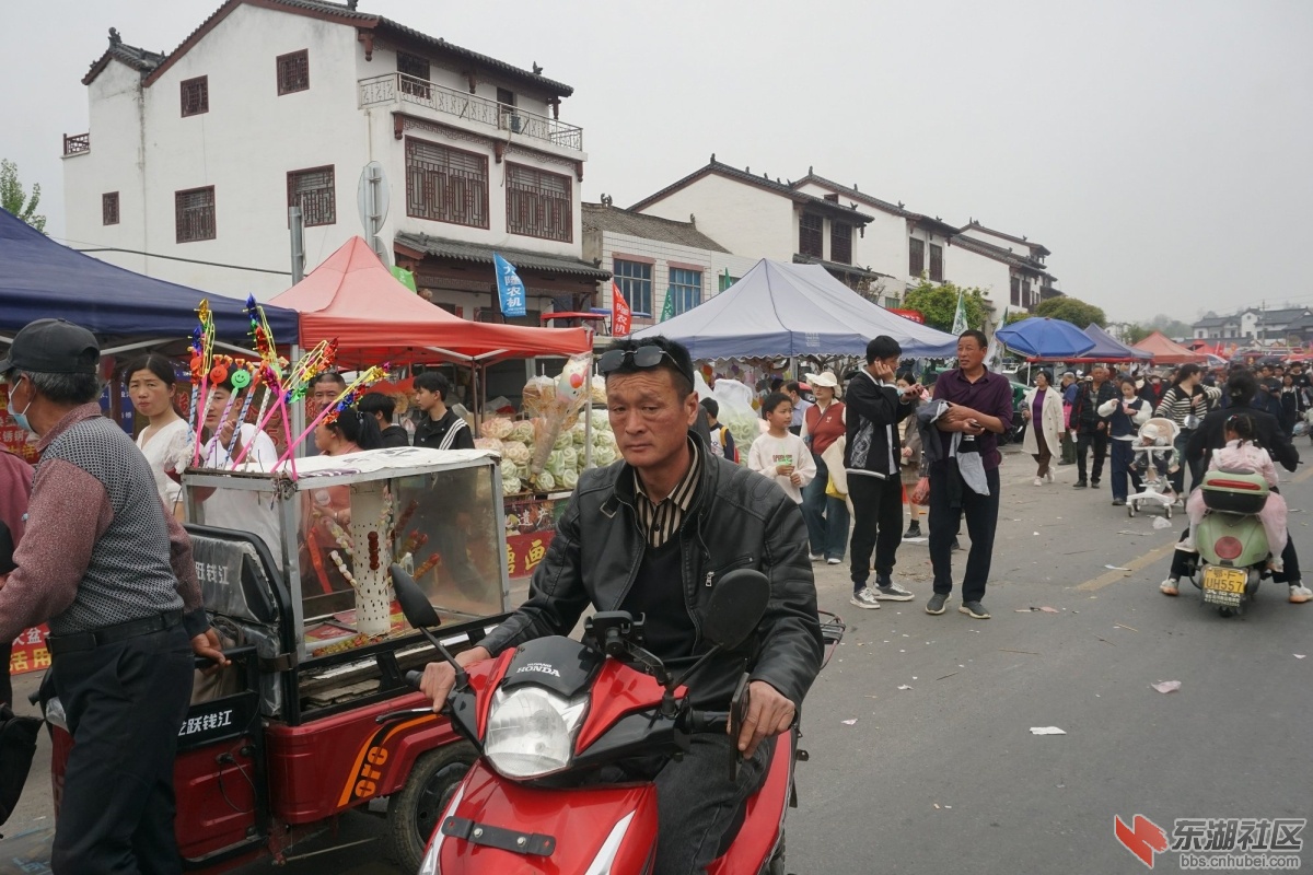 DSC08922.JPG