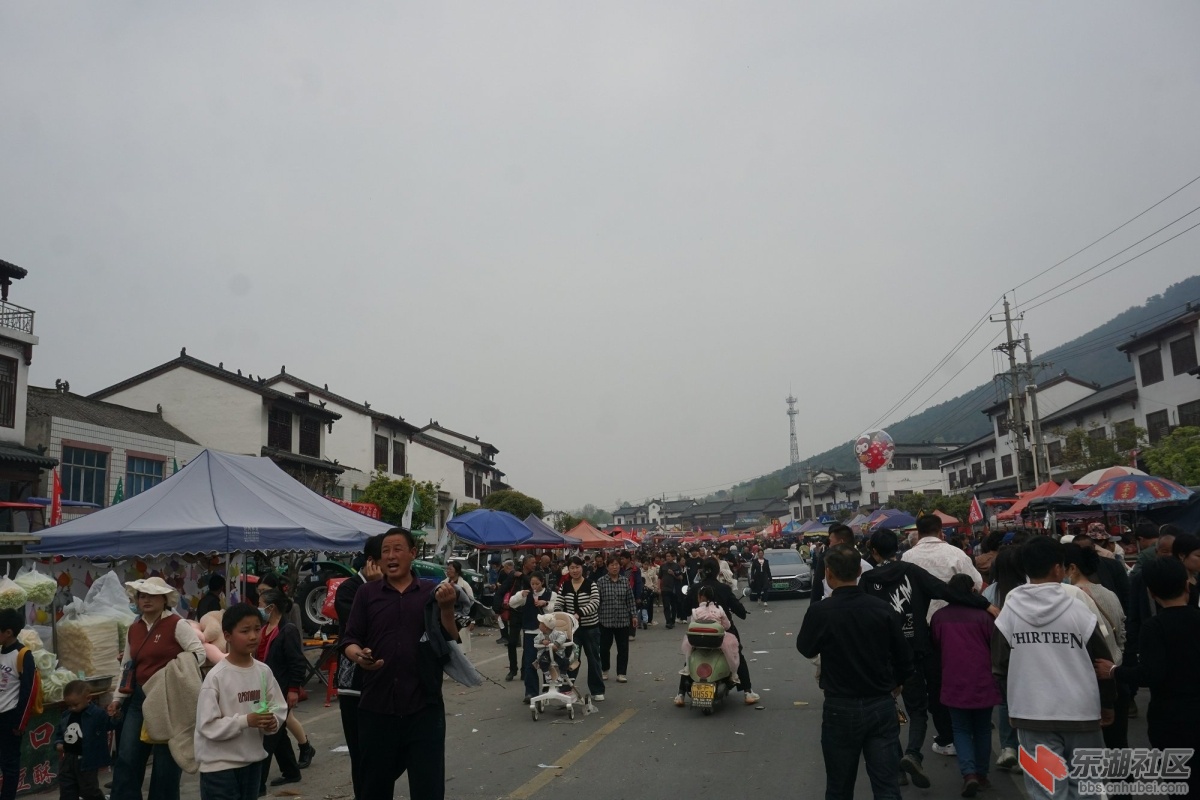 DSC08925.JPG