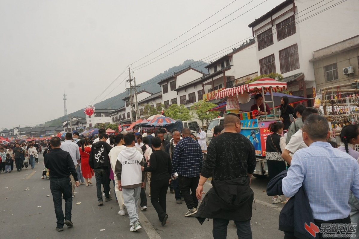 DSC08930.JPG
