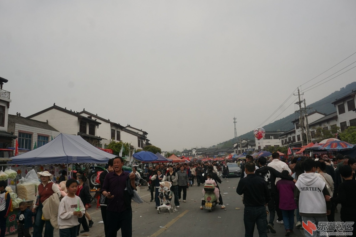 DSC08927.JPG