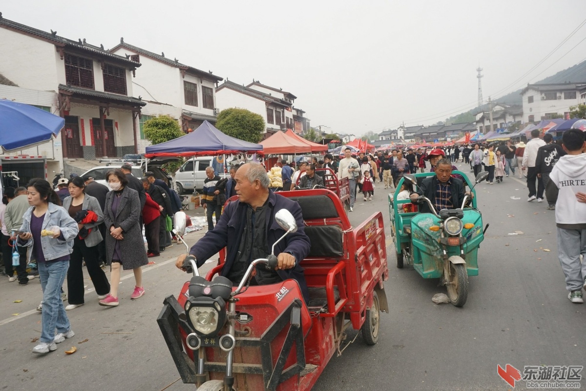 DSC08954.JPG