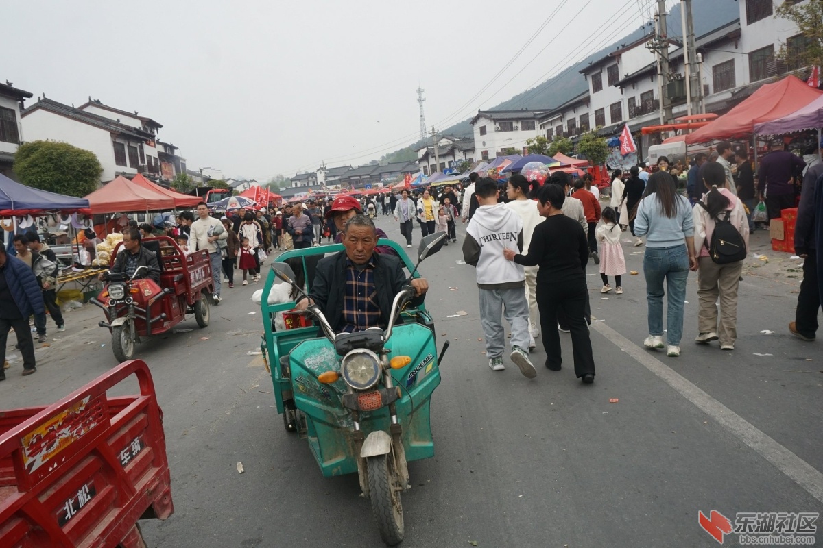 DSC08955.JPG