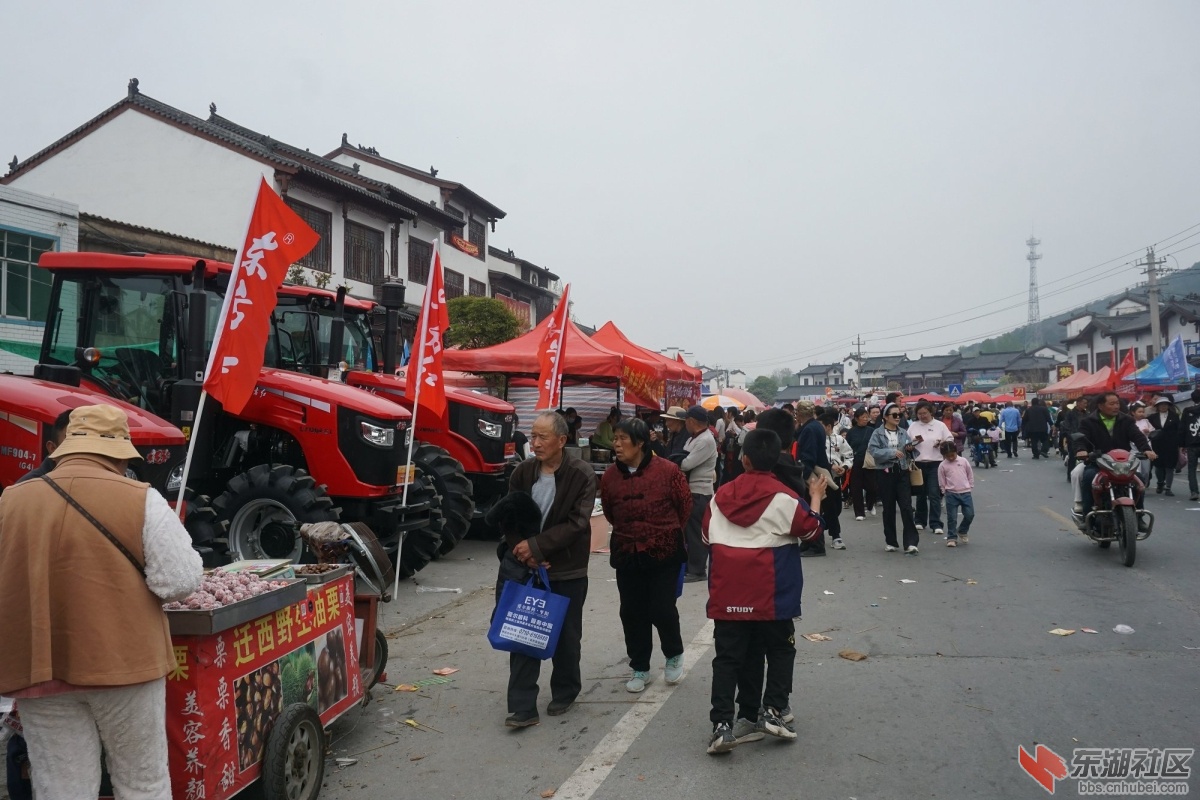 DSC08986.JPG