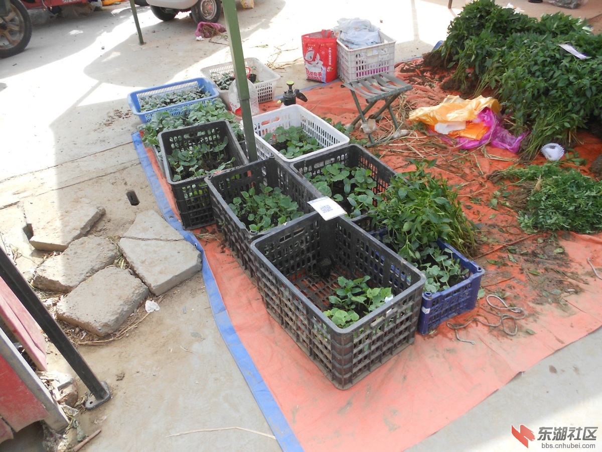 DSCN1226.JPG