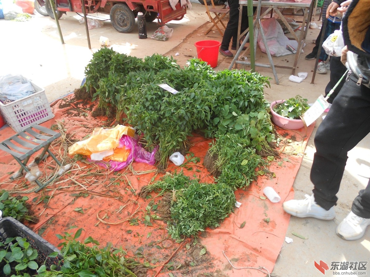 DSCN1228.JPG