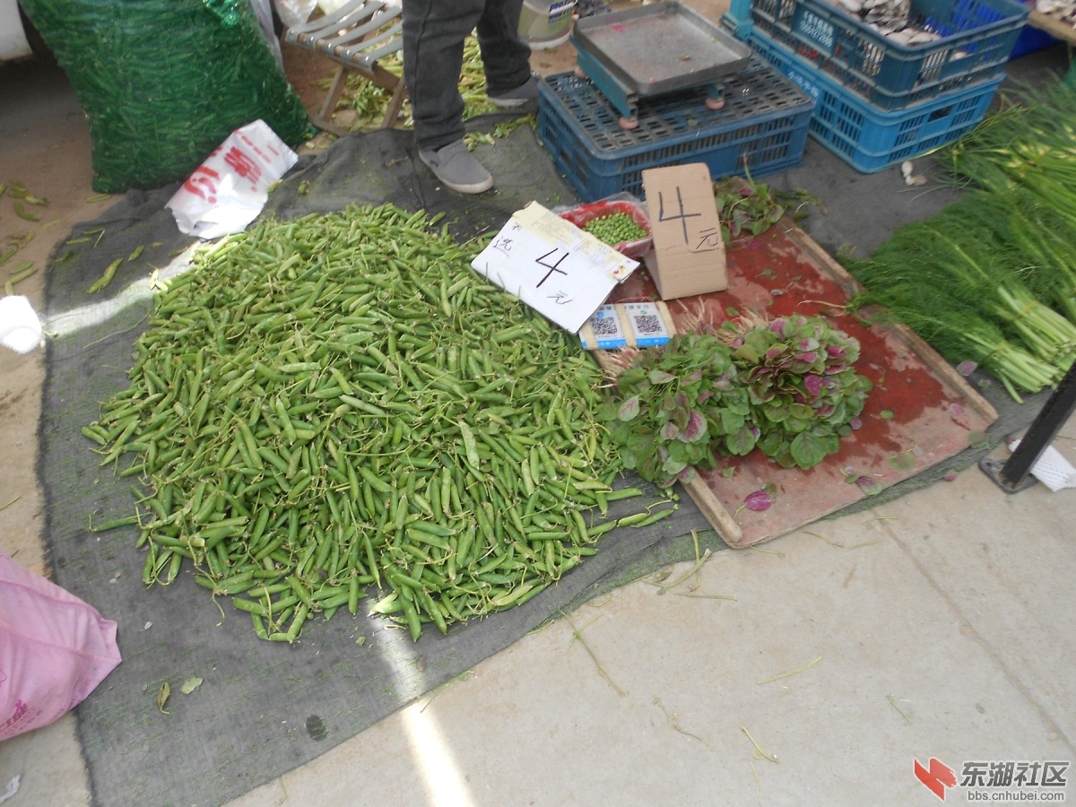 DSCN1235.JPG