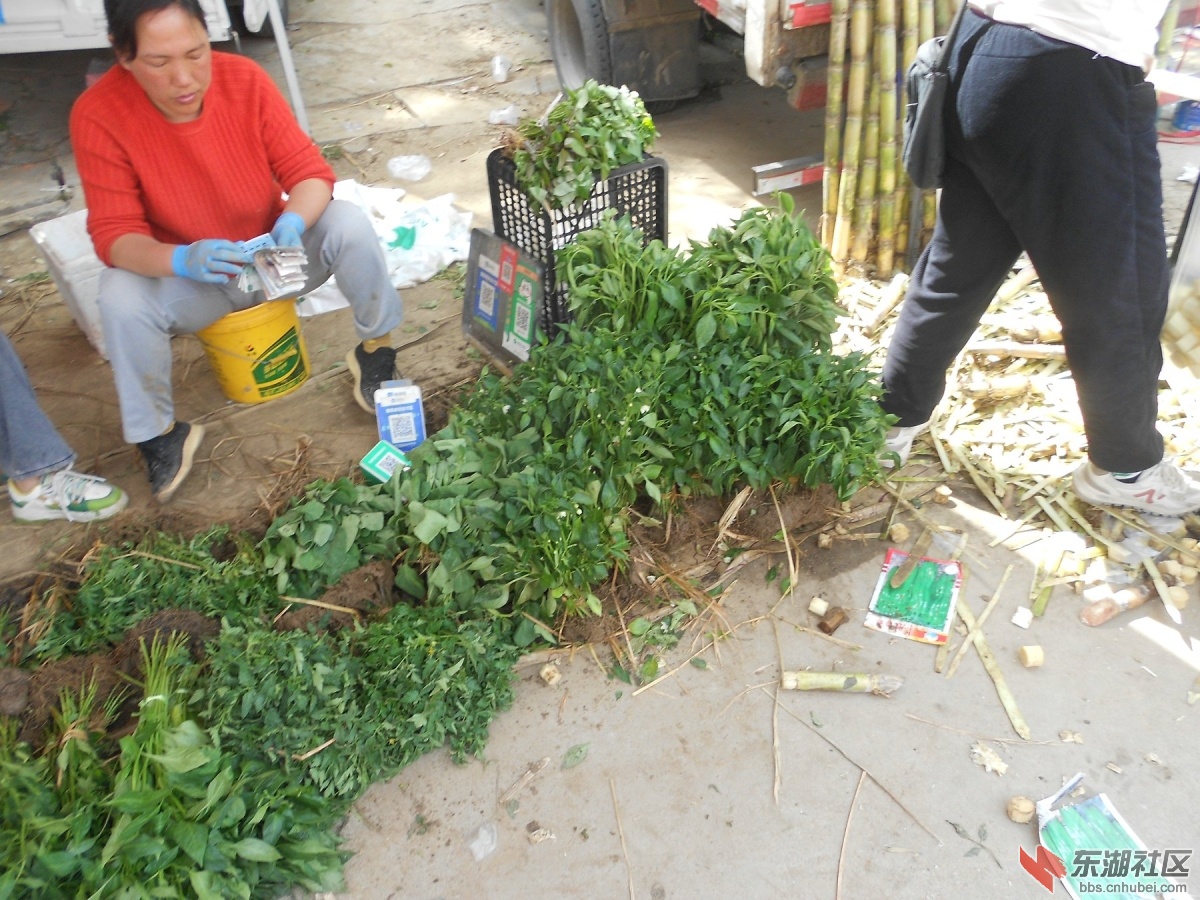 DSCN1253.JPG