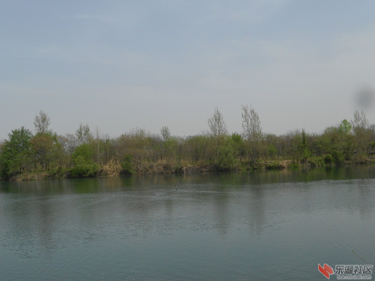 DSCN1319.JPG