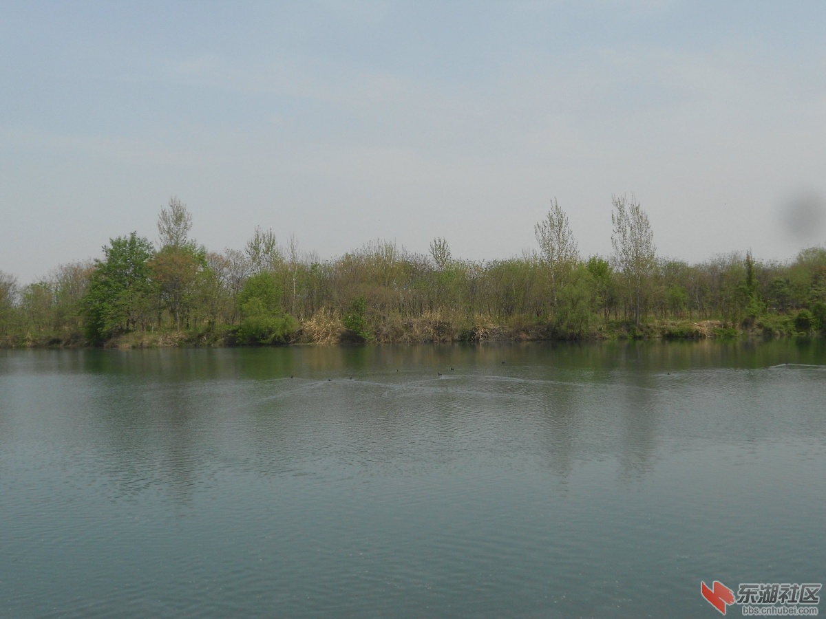 DSCN1321.JPG