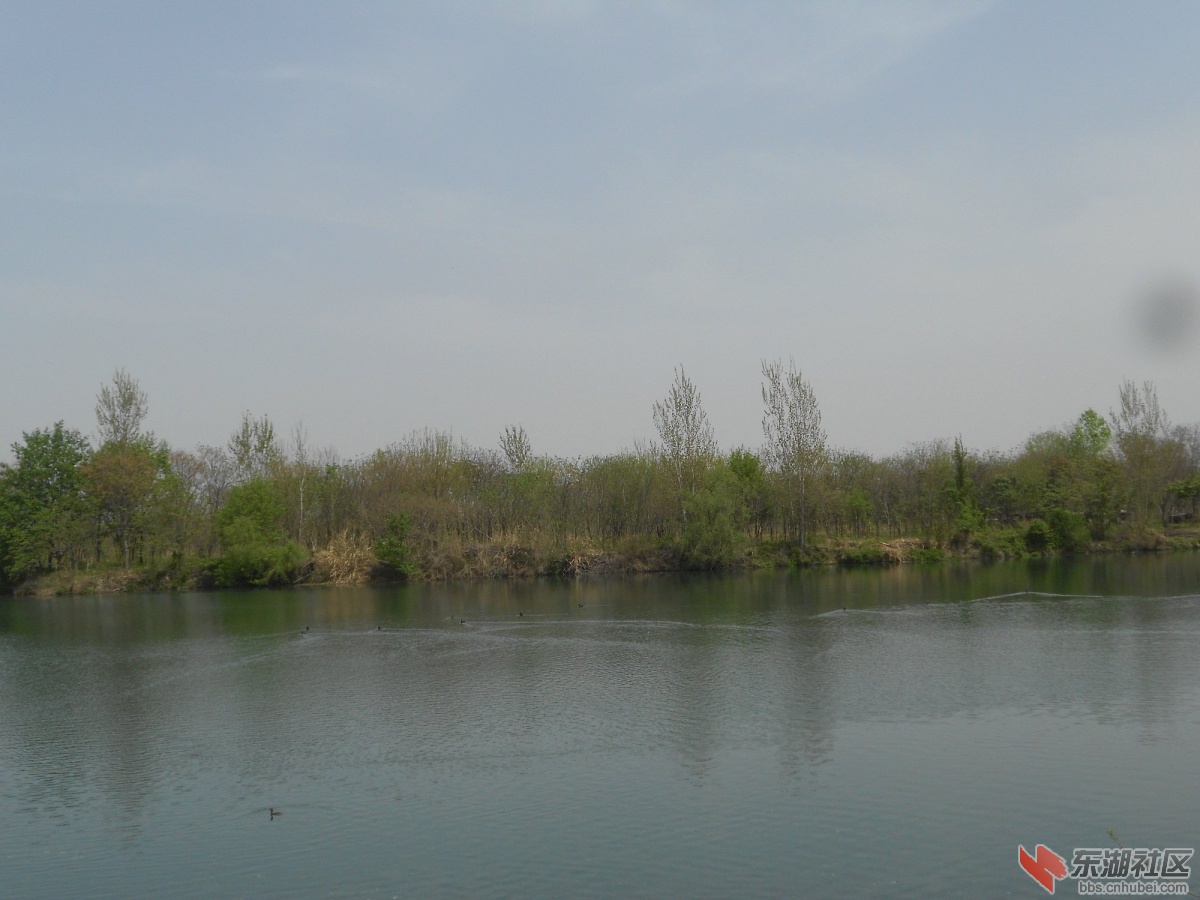 DSCN1323.JPG