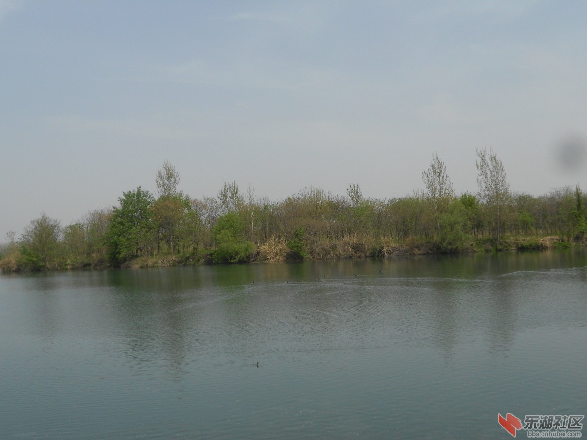 DSCN1324.JPG