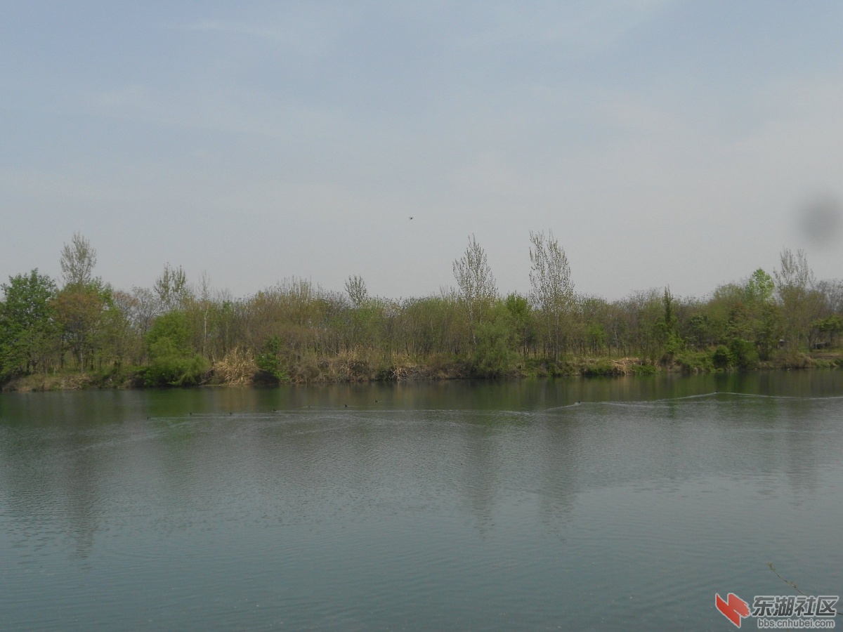 DSCN1326.JPG