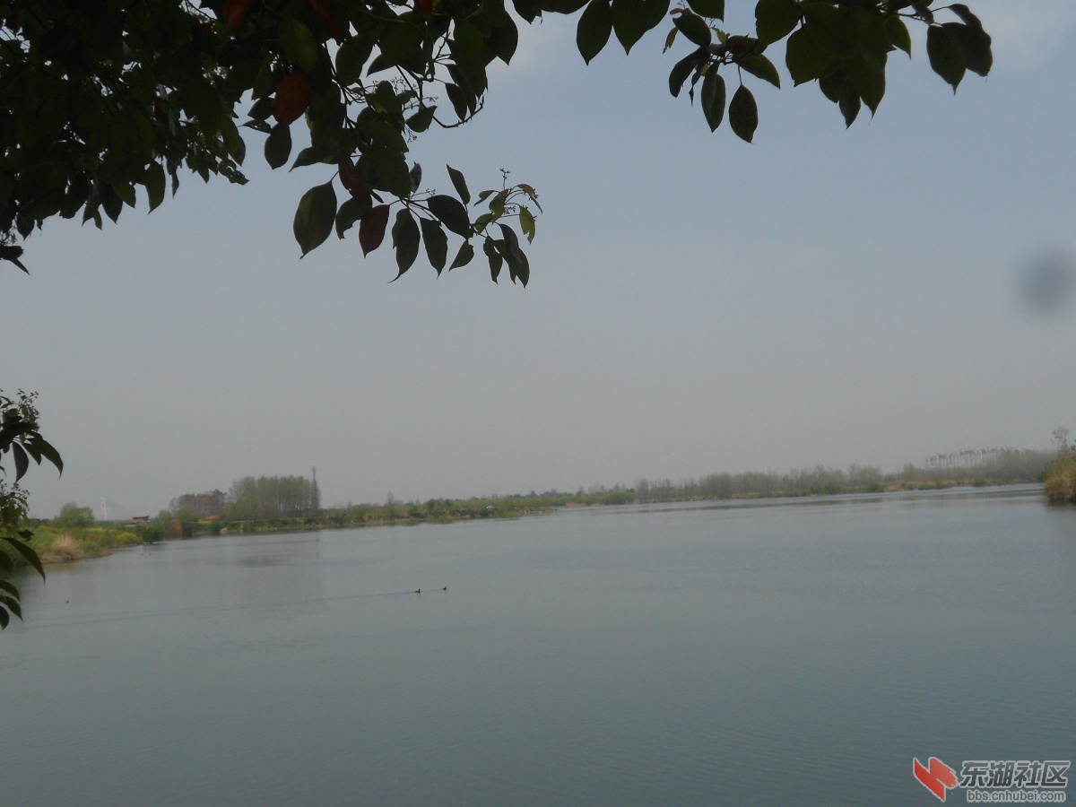 DSCN1330.JPG