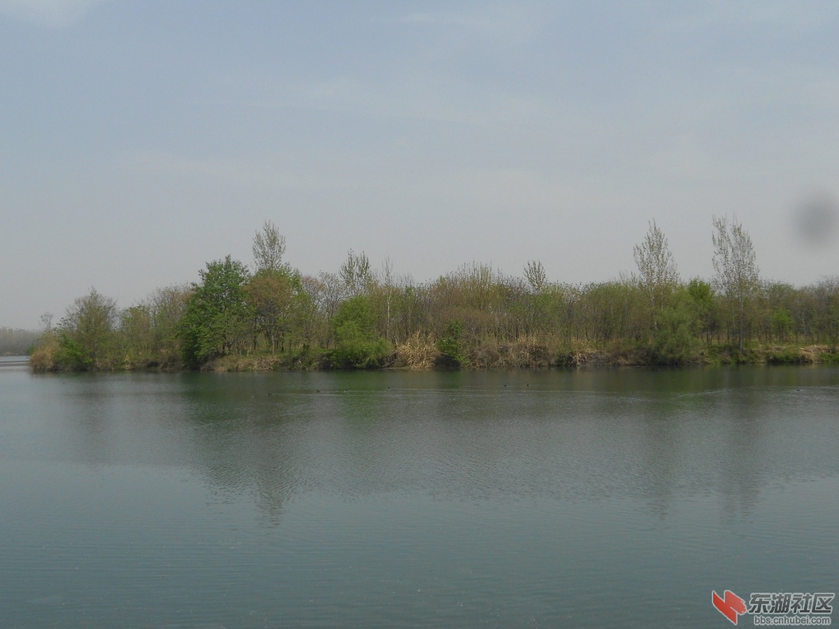 DSCN1332.JPG