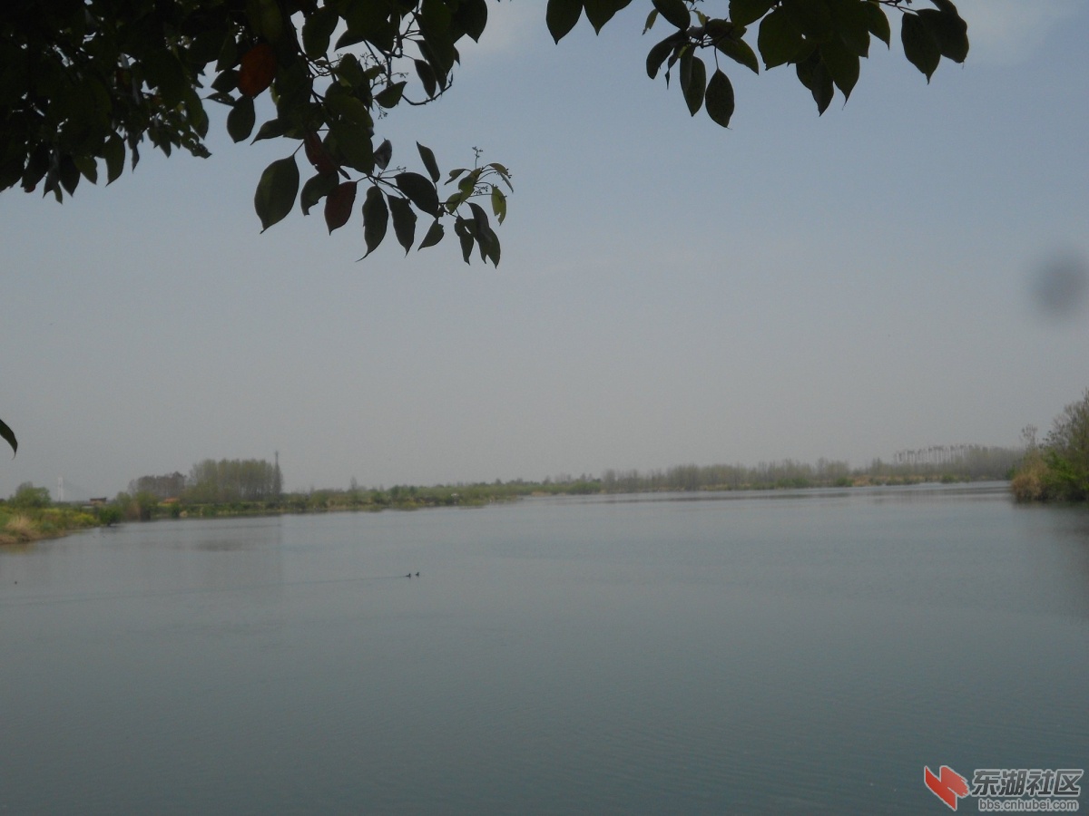 DSCN1331.JPG
