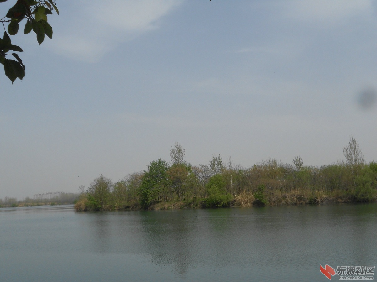 DSCN1336.JPG