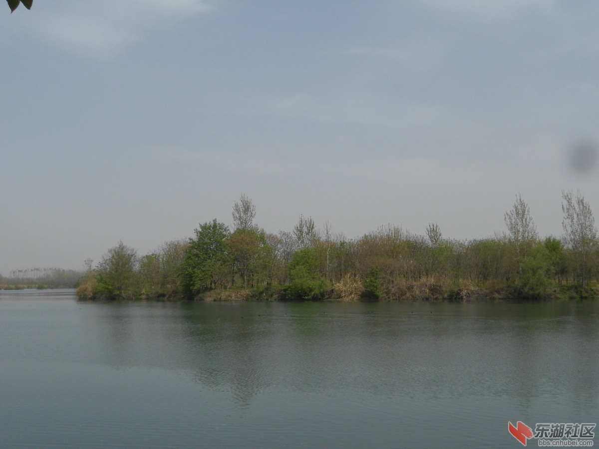 DSCN1334.JPG
