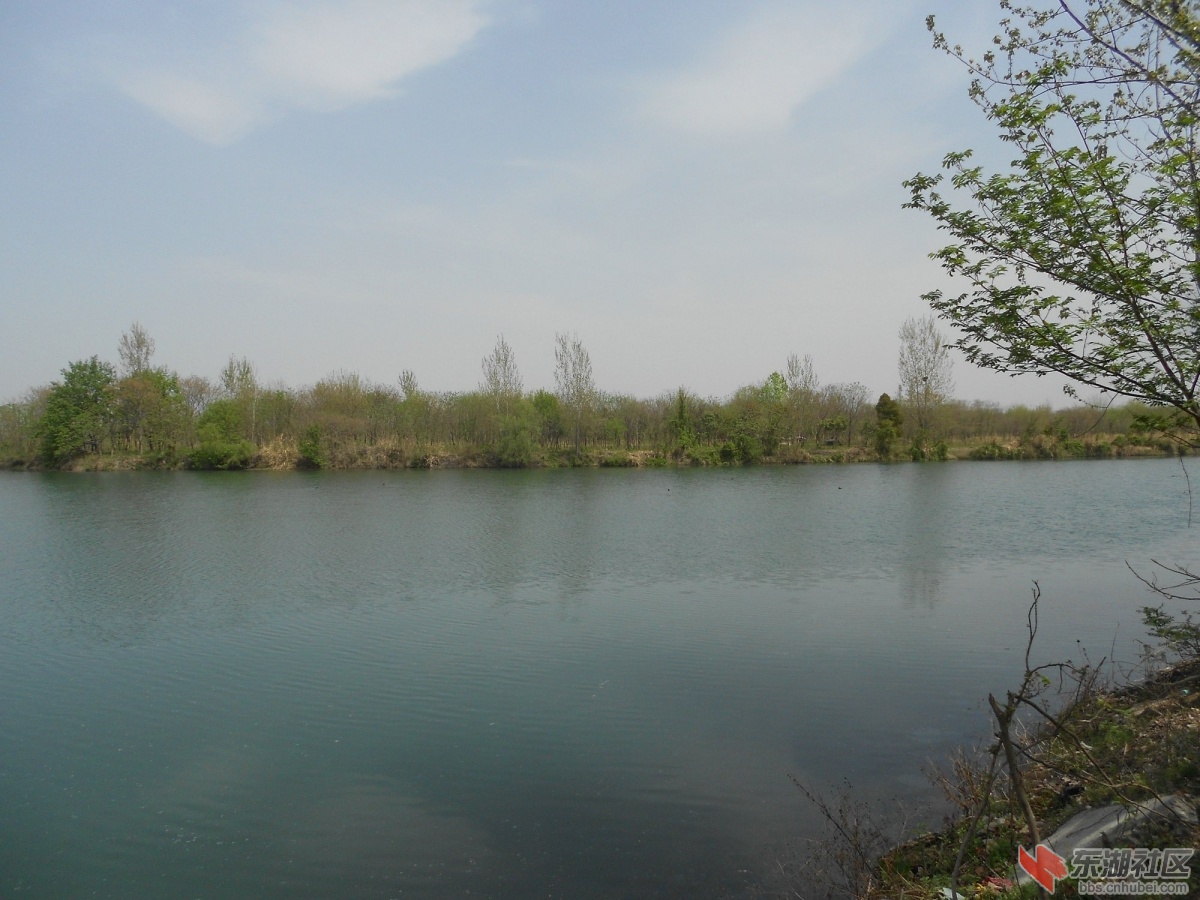 DSCN1338.JPG