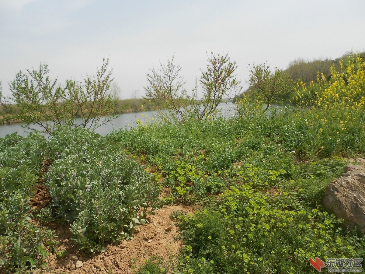 DSCN1343.JPG