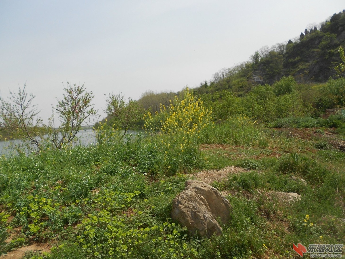DSCN1344.JPG