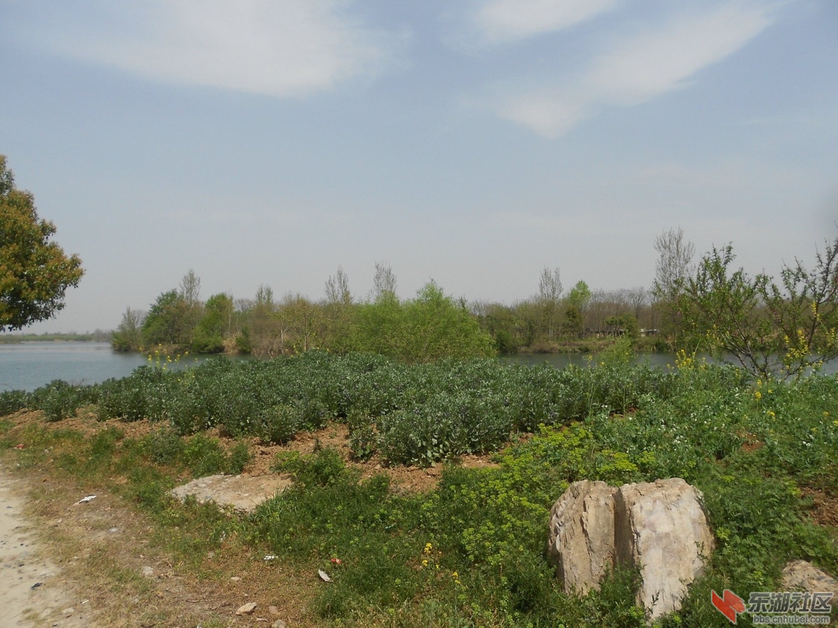 DSCN1347.JPG