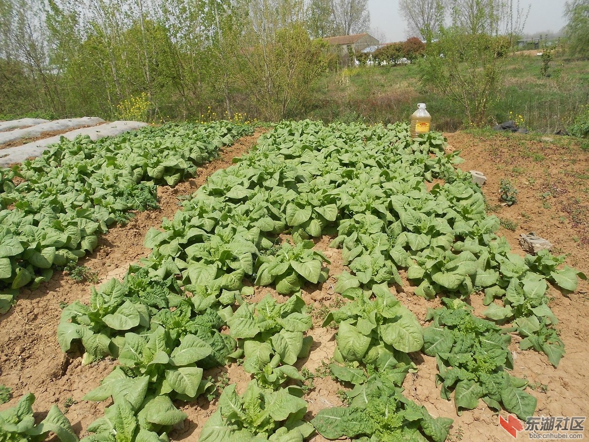 DSCN1353.JPG