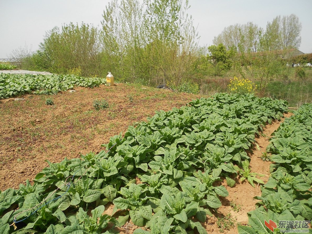 DSCN1351.JPG