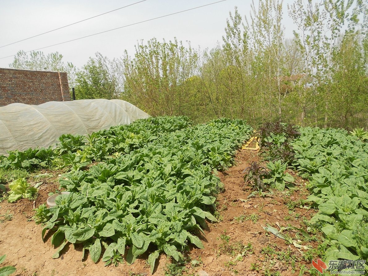 DSCN1356.JPG