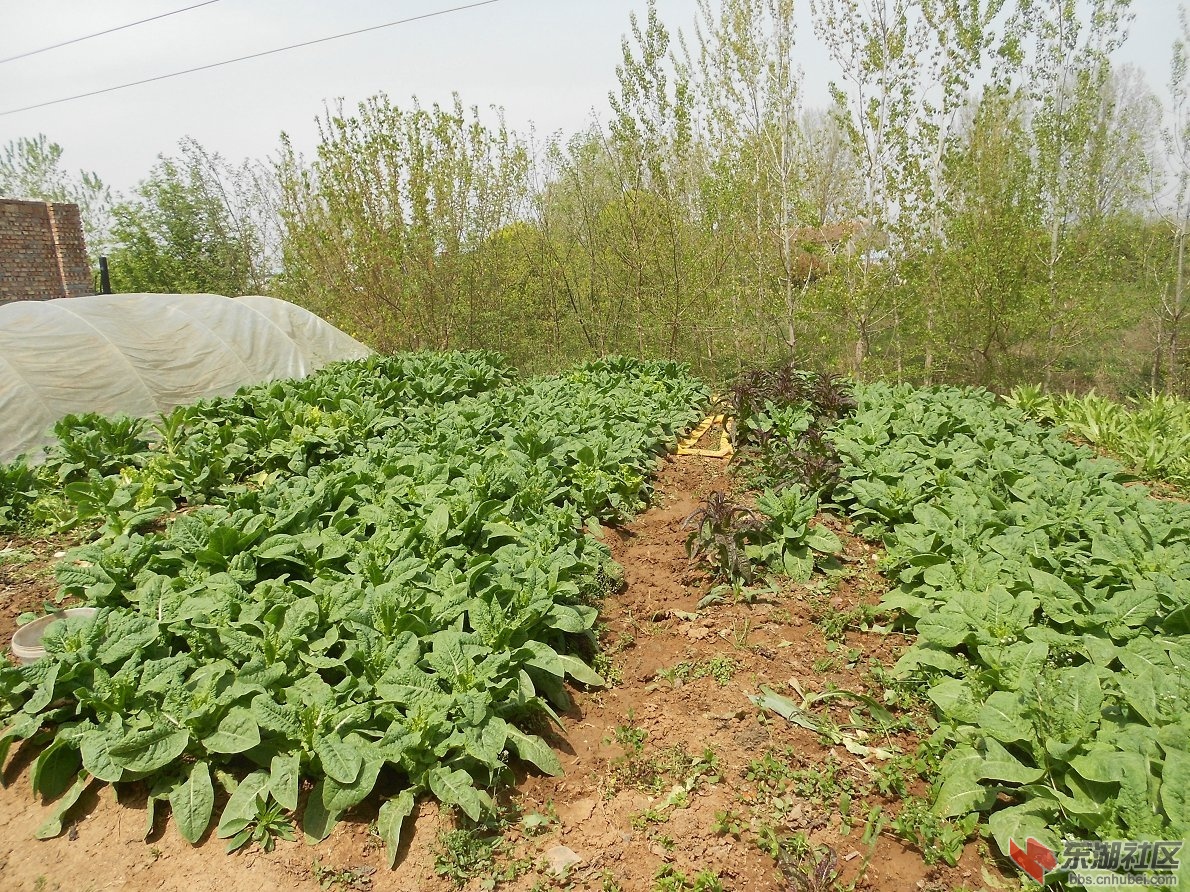 DSCN1355.JPG